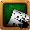 Spider Solitaire icon